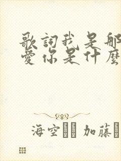 歌词我是那么的爱你是什么歌