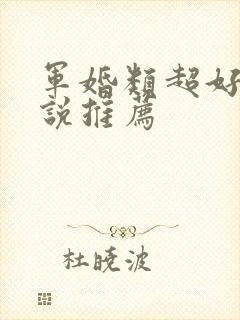 军婚类超好看小说推荐