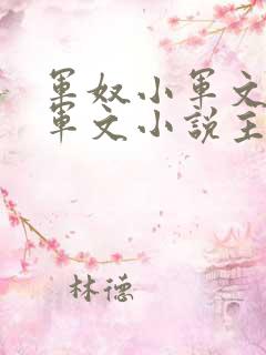 军奴小军文by军文小说主角