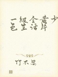 一级全黄少妇性色生活片