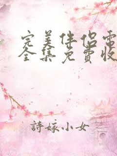 完美伴侣电视剧全集免费收看