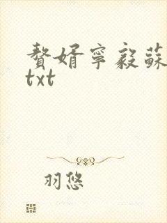 赘婿宁毅苏檀儿txt