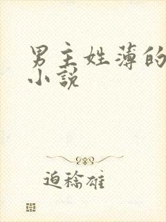 男主姓薄的总裁小说