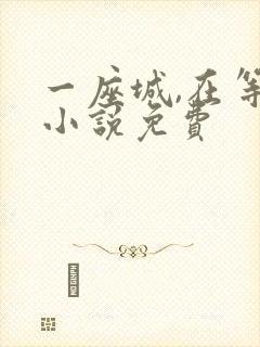 一座城,在等你小说免费