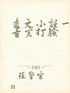 爽文小说一口气看完打脸