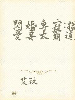 闪婚专宠:总裁爱妻太霸道