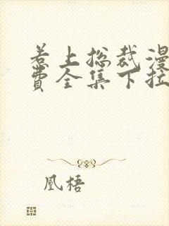 惹上总裁漫画免费全集下拉式