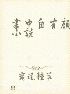 书中自有颜如聿小说