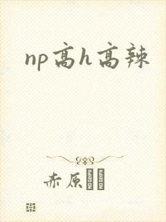 np高h高辣