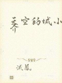 天空的城小说简介
