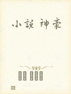 小说 神豪