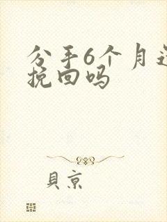 分手6个月还能挽回吗