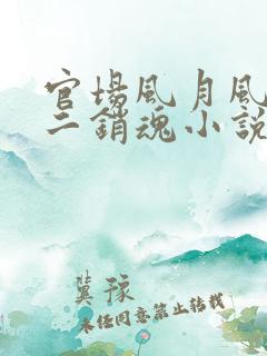 官场风月风流小二销魂小说免费阅读