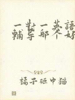 一对一英语外教辅导哪个好