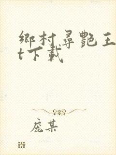 乡村寻艳王txt下载