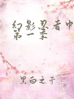 幻影忍者中文版第一季