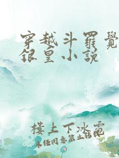 穿越斗罗觉醒蓝银皇小说