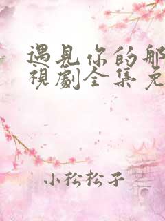 遇见你的那天电视剧全集免费播放