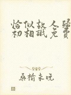 恰似故人归与君初相识免费看