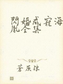 闪婚成宠海彤战胤全集