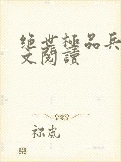 绝世极品兵王全文阅读