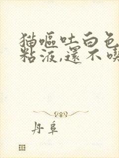 猫呕吐白色泡沫粘液,还不吃东西