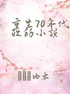 重生70年代从政的小说