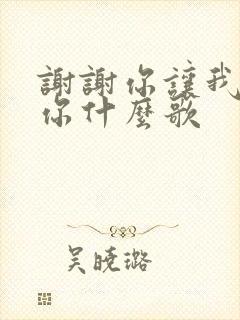 谢谢你让我遇到你什么歌