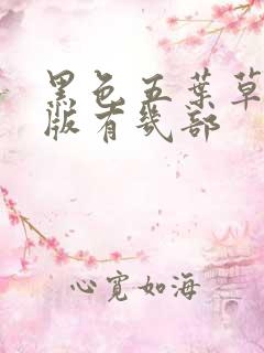 黑色五叶草剧场版有几部