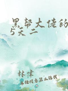 黑帮大佬的365天二