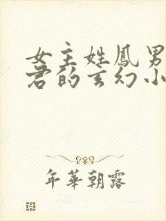 女主姓凤男主姓君的玄幻小说