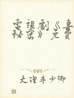 电视剧《妻子的秘密》免费播放