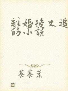 离婚后又追前妻的小说