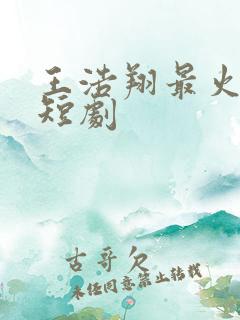 王浩翔最火十部短剧