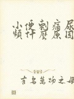 小便刺痛尿急尿频什么原因引起