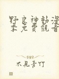 野良神动漫第一季免费观看