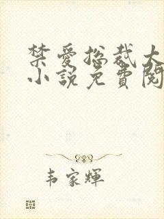 禁爱总裁太霸道小说免费阅读