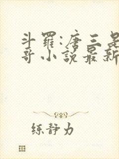 斗罗:唐三是我哥小说最新章节