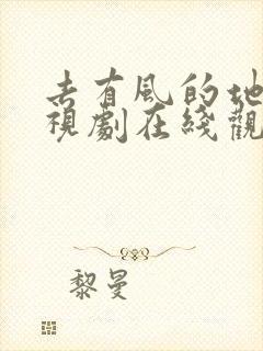 去有风的地方电视剧在线观看免费高清版