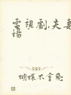 电视剧,夫妻一场