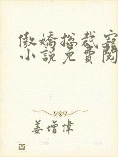 傲娇总裁宠上瘾小说免费阅读