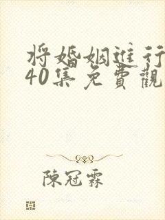 将婚姻进行到底40集免费观看