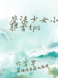 魔法少女小圆沙耶香tps