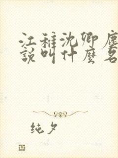 江稚沈卿尘的小说叫什么名字
