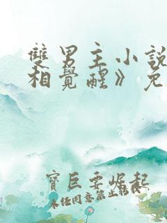 双男主小说《真相觉醒》免费阅读