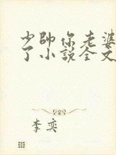 少帅你老婆又跑了小说全文免费阅读