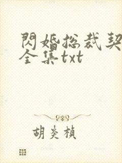 闪婚总裁契约妻全集txt
