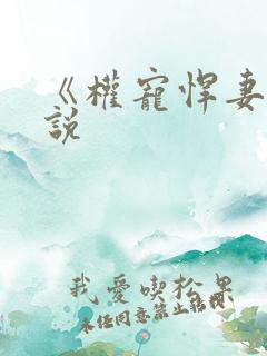 《权宠悍妻》小说
