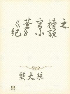 《苍穹榜之圣灵纪》小说