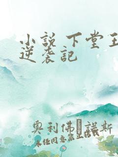 小说 下堂王妃逆袭记